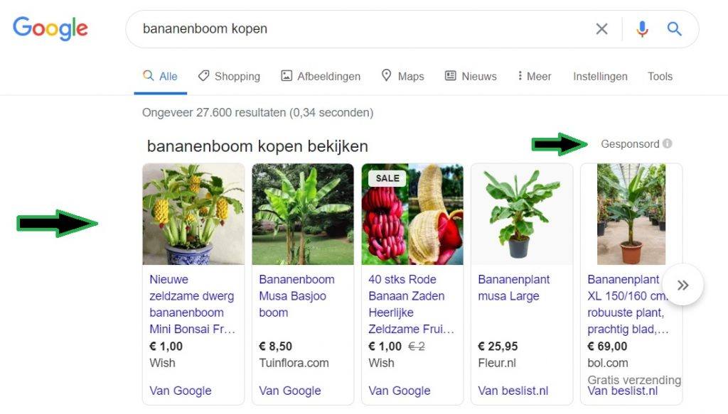 SEA Google Shopping