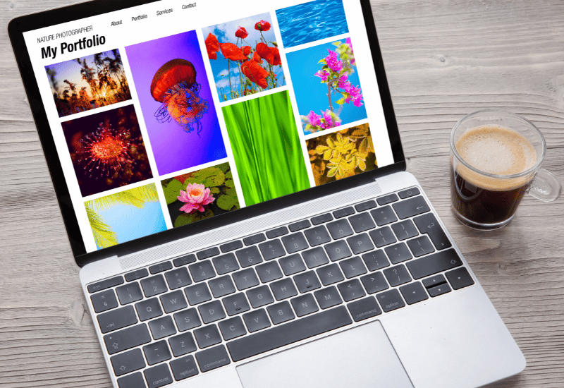 Monkey Vision - wordpress expert website