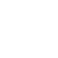 Monkey Vision - Mogelijkheden Webshop laten maken - icon - mockup-laptop-esque-2