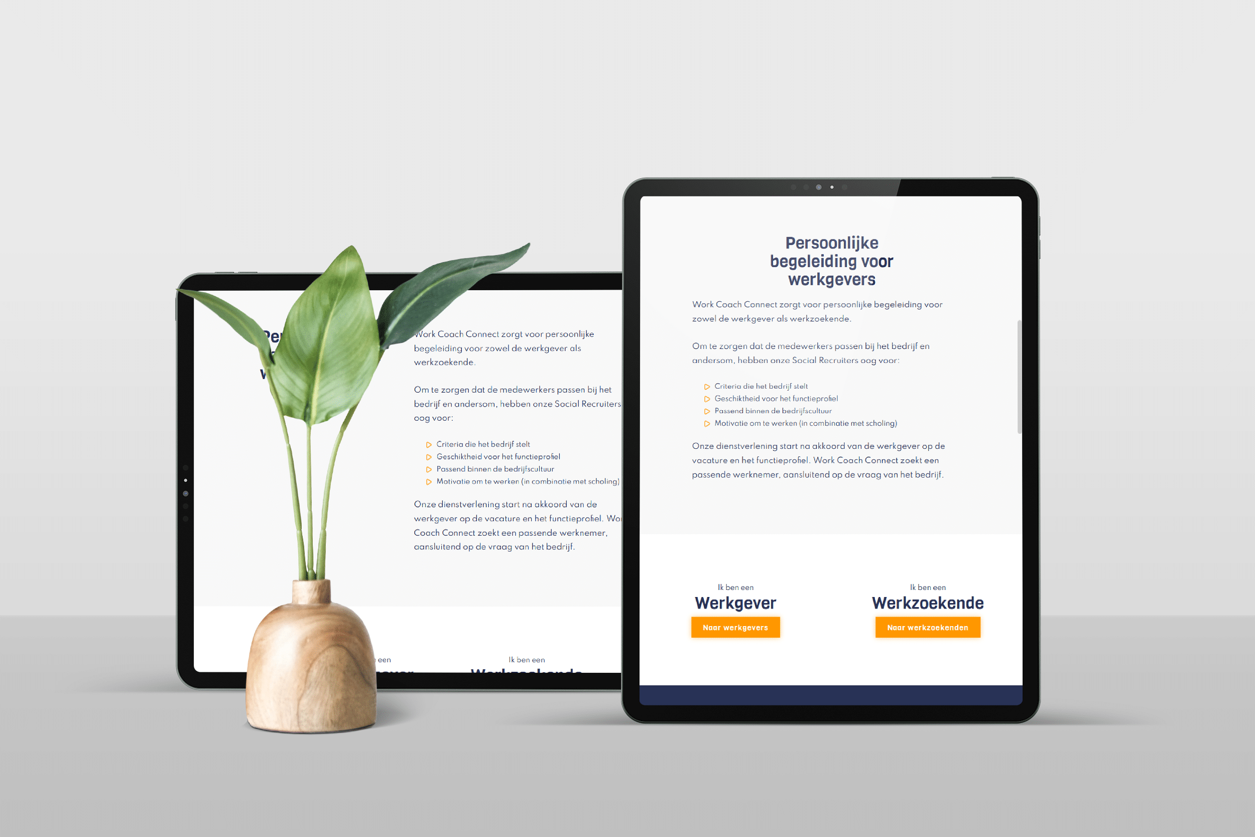 Monkey Vision - workcoach ipad