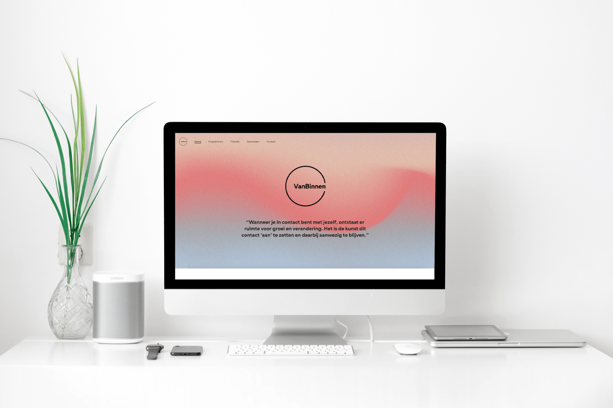 Monkey Vision - vanbinnen imac