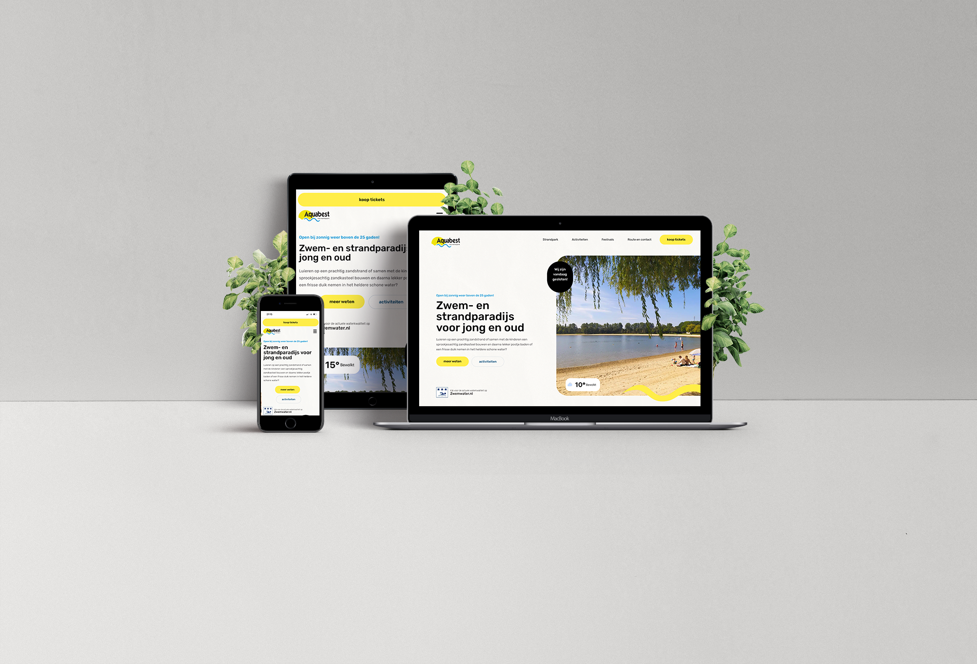 Monkey Vision - Web Showcase Project