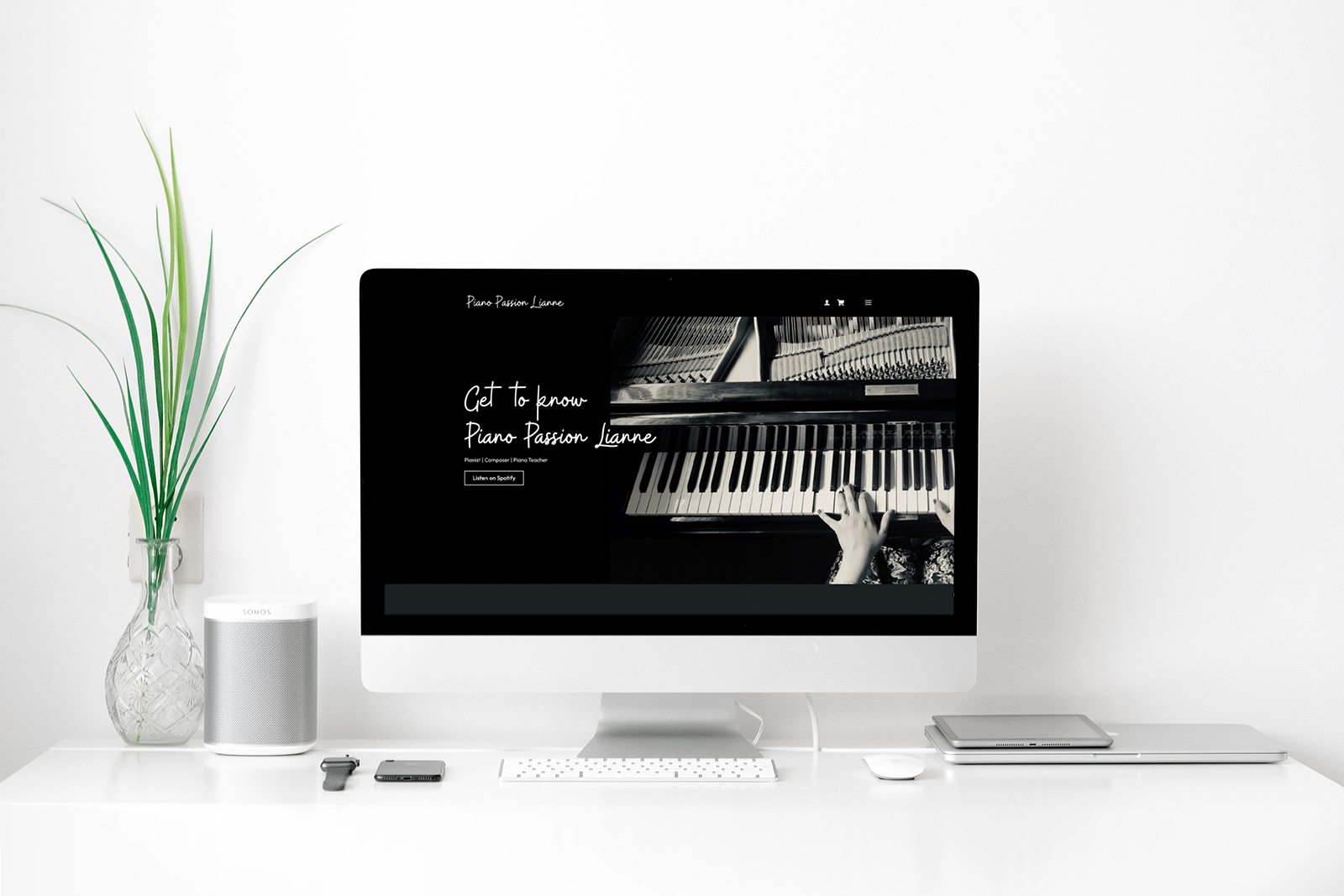 Monkey Vision - Imac 4