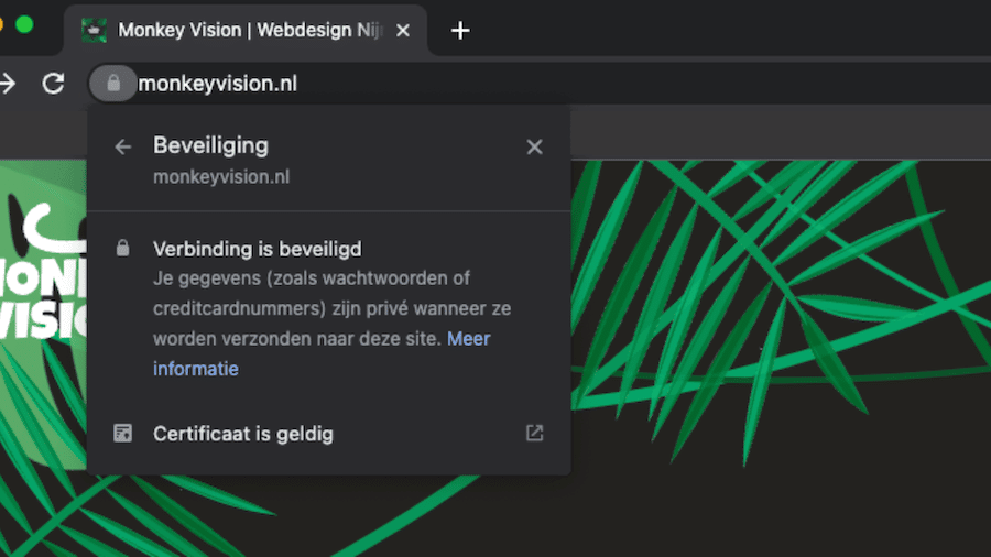 aan het slotje in de browserbalk kun je zien of het SLL-certificaat werkt